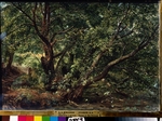 Iwanow, Alexander Andrejewitsch - Bäume am Bach
