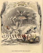 Grandville, Jean-Jacques - Die Offenbarung des Balletts