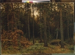 Schischkin, Iwan Iwanowitsch - Kiefernwald
