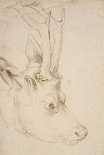 Dürer, Albrecht - Kopf eines Rehbock
