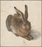 Dürer, Albrecht - Feldhase