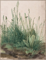 Dürer, Albrecht - Das große Rasenstück