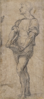 Andrea del Sarto - Stehender Jüngling mit einem Buch