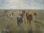 Philipsen, Theodor - Lange Schatten. Kühe auf der Insel Saltholm