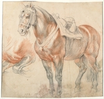 Rubens, Pieter Paul - Gesatteltes Pferd
