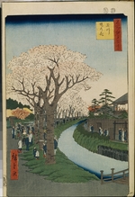 Hiroshige, Utagawa - Kirschbäume am Tama-Deich  (Einhundert Ansichten von Edo)
