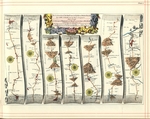 Ogilby, John - Britannia Atlas: Straße von London nach Aberystwyth