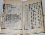 Unbekannter Meister - Schildkrötenschiff (Buch über Yi Sun-sin)