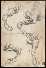 Leonardo da Vinci - Pferdebeine-Studie