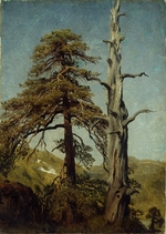 Cappelen, August - Bäume (Studie)