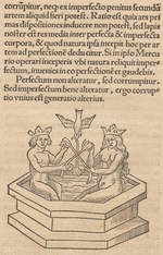 Unbekannter Künstler - Illustration für Rosarium philosophorum sive pretiosissimum donum Dei
