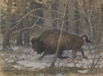 Tichmenew, Ewgeni Alexandrowitsch - Der Wisent