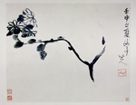Zhu Da, (Bada Shanren) - Chrysantheme
