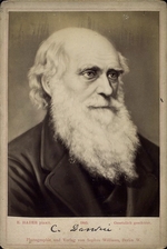 Hader, Ernst - Porträt von Charles Darwin (1809-1882)