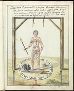 Unbekannter Künstler - Compendium rarissimum totius Artis Magicae...