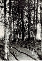Unbekannter Fotograf - Herrenhaus Roschdestweno