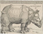 Dürer, Albrecht - Rhinocerus