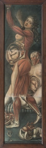 Gautier d'Agoty, Jacques Fabien - Zwei schwangere Frauen