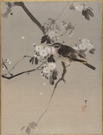 Seitei (Shotei), Watanabe - Vögel auf einem blühenden Zweig