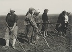 Unbekannter Fotograf - Kolchosbäuerinnen auf dem Feld