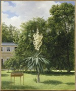 Chazal, Antoine - Yucca Gloriosa im Park von Neuilly
