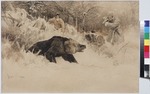 Stepanow, Alexei Stepanowitsch - Die Bärenjagd