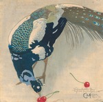 Moser, Carl - Weissgefleckter Pfau