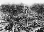 Unbekannter Fotograf - Verdun 1916