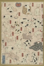 Kuniyoshi, Utagawa - Katzen. Aus der Serie Dreiundfünfzig Stationen der Tokaido-Straße