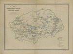 Unbekannter Meister - Karte von Tjumen Ujesd des Gouvernements Tobolsk