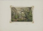 Jacottet, Louis Julien - Gutshof Verkiai. Interieur von Wintergarten 