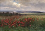 Kratschkowski, Iosif Ewstafiewitsch - Mohnblumen