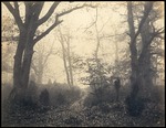 Cuvelier, Eugène - Fontainebleau. Wald in der Nähe von Barbizon