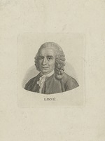 Unbekannter Künstler - Porträt von Carl von Linné (1707-1778)