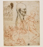 Leonardo da Vinci - Menschliche Büste im Profil mit Proportionsstudie 