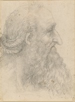 Leonardo da Vinci - Der Kopf eines alten bärtigen Mannes