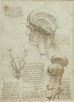 Leonardo da Vinci - Manuskriptblatt mit anatomischen Zeichnungen und Notizen