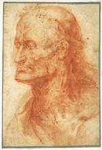 Rubens, Pieter Paul - Studienkopf eines alten Mannes