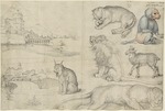 Dürer, Albrecht - Skizzen von Tieren und Landschaften