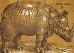 Dürer, Albrecht - Rhinocerus