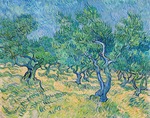 Gogh, Vincent, van - Olivenhain