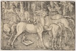 Baldung (Baldung Grien), Hans - Gruppe von sieben Pferden (Hengst und rossige Stute)
