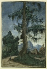 Altdorfer, Albrecht - Landschaft mit einer Fichte
