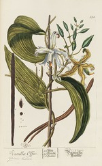 Blackwell, Elizabeth Blachrie - Herbarium Blackwellianum emendatum et auctum