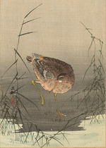 Ohara, Koson - Schnepfe im Sumpf