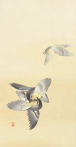 Ohara, Koson - Zwei kämpfende Vögel