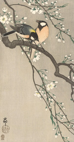 Ohara, Koson - Meisen auf Kirschzweig