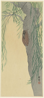 Ohara, Koson - Zikade am Baum