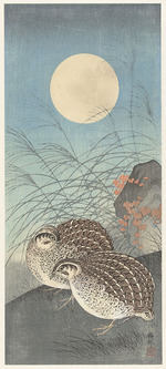 Ohara, Koson - Zwei Wachteln bei Vollmond
