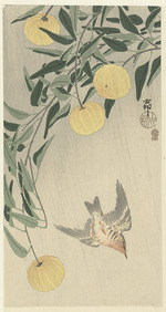Ohara, Koson - Kuckuck im Regen
